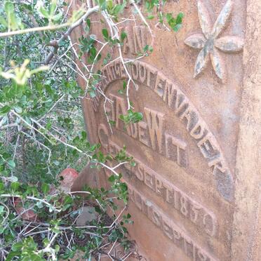 Western Cape, SWELLENDAM district, Barrydale, Lemoenshoek 25_3, single grave