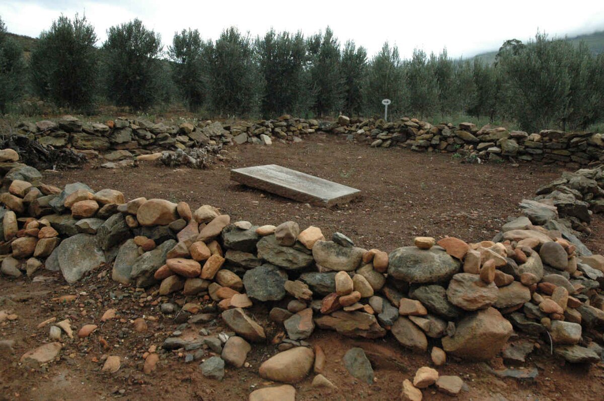 2. View on the cemetery