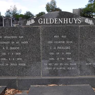 GILDENHUYS A.F. 1908-1978 &amp; C.H. 1905-1991 :: GILDENHUYS C.J. 1929-1982