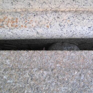 STEYN Petrus J. 1896-1944