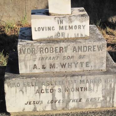 WHYTE Ivor Robert Andrew -1900