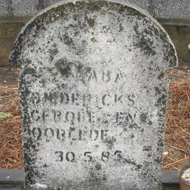 DIEDERICKS 1985-1985