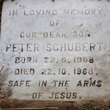 SCHUBERT Peter 1968-1968