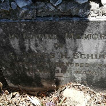 SCHURR G. James H. 1855-1928