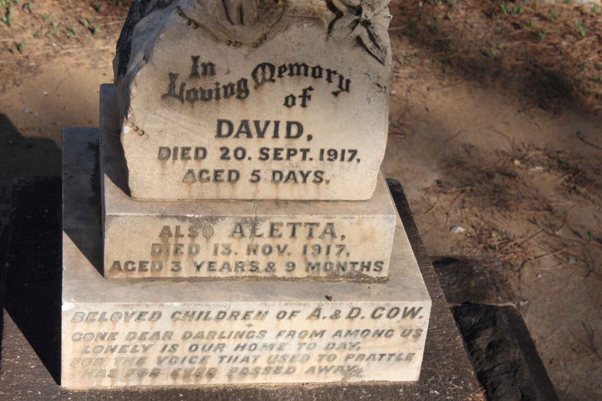 GOW David -1917 :: GOW Aletta -1917