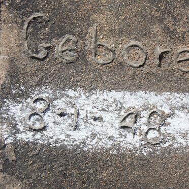 SWIFT Willem Edward 1948-1950