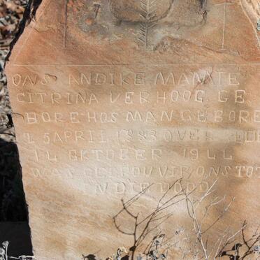 VERHOOG Citrina 1883-1944