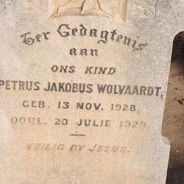 WOLVAARDT Petrus Jakobus 1928-1929