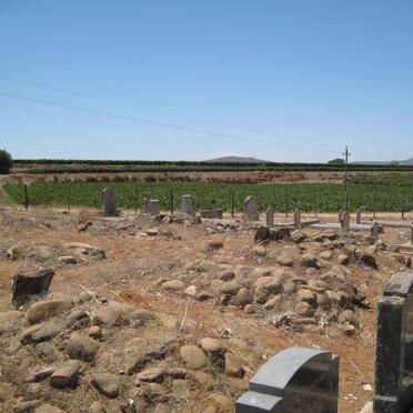 4. Overview