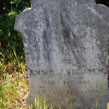 VILJOEN D.A. 1896-1896 : : VILJOEN Anna J. 1903-1903