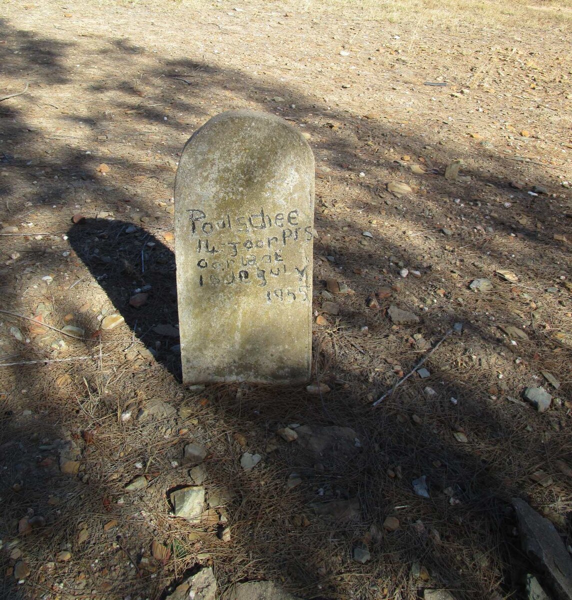 SCHEEPERS Paul -1955