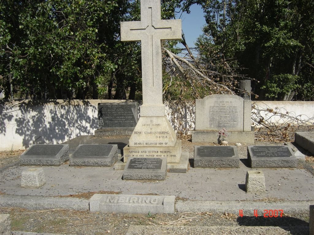 2. MEIRING family