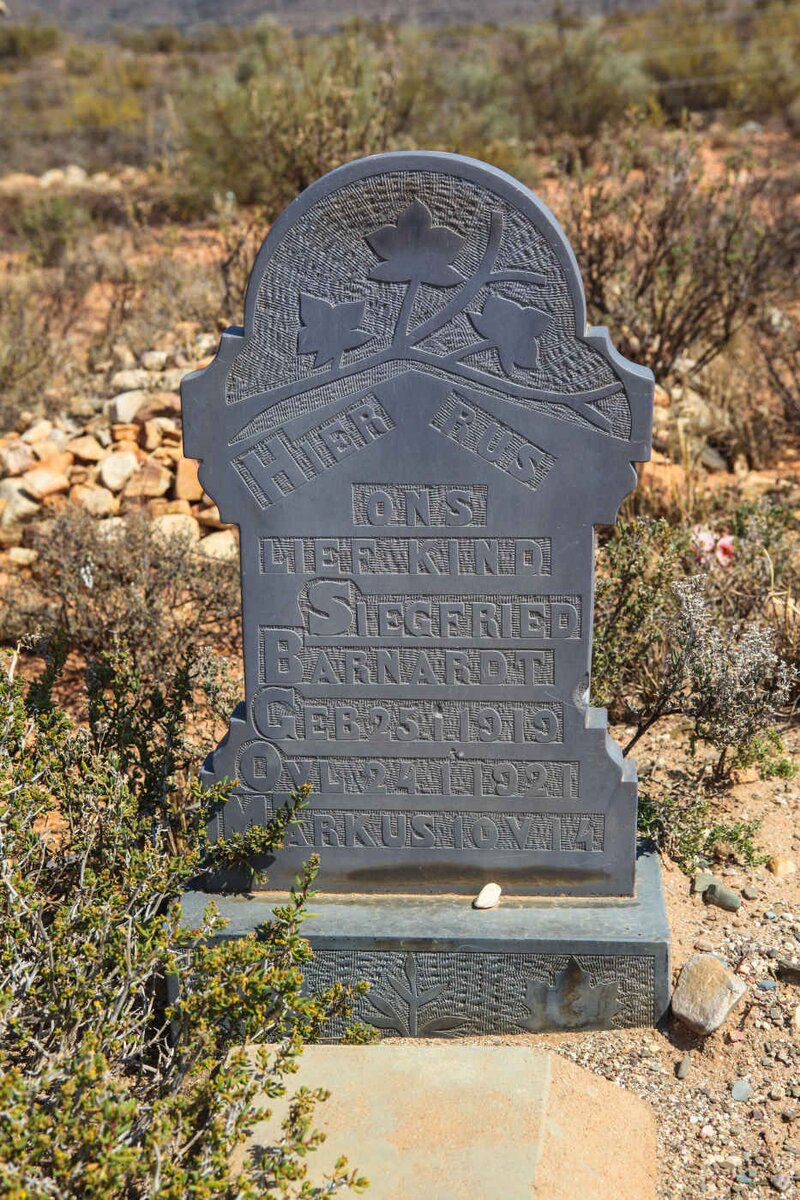 BARNARDT Siegfried 1919-1921