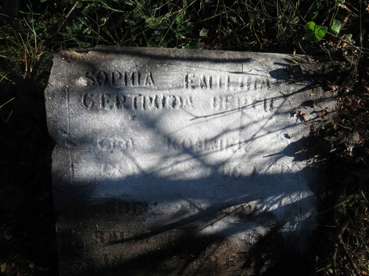 BERGH Sophia Emilia Gertruida nee KOMMER