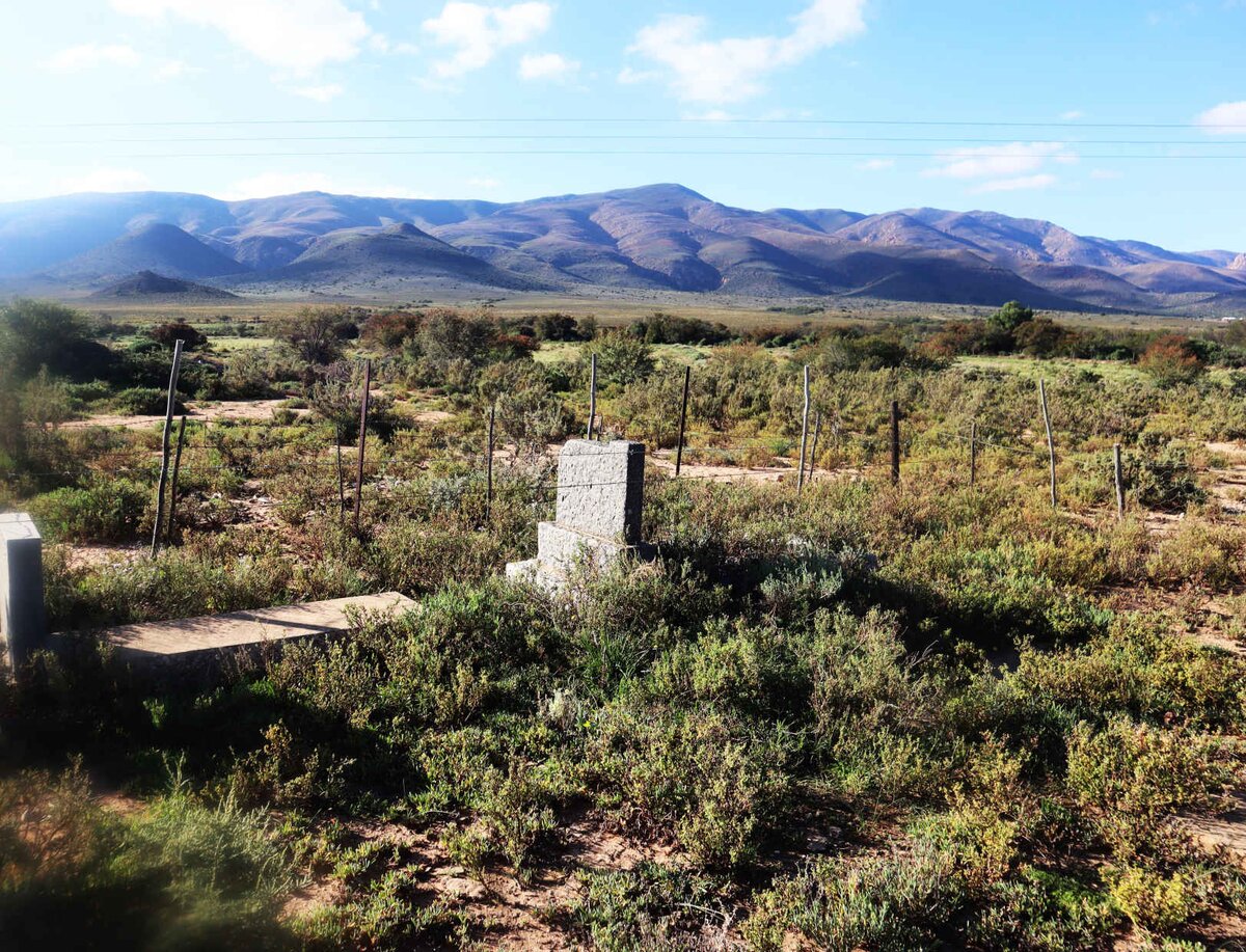 1. Oorsig / Overview