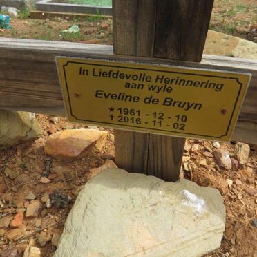 BRUYN Eveline, de 1961-2016