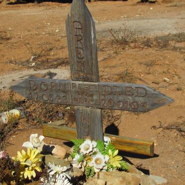 WYNAND Arend 1933-2009