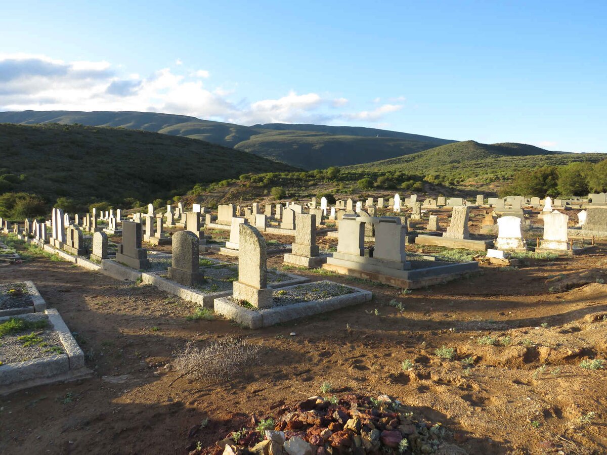 2. Oorsig / Overview