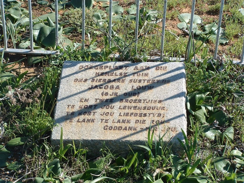 LOUW Jacoba :: LOUW boy :: LOUW boy