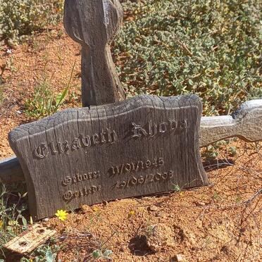 ? Elizabeth Rhoda 1945-2008