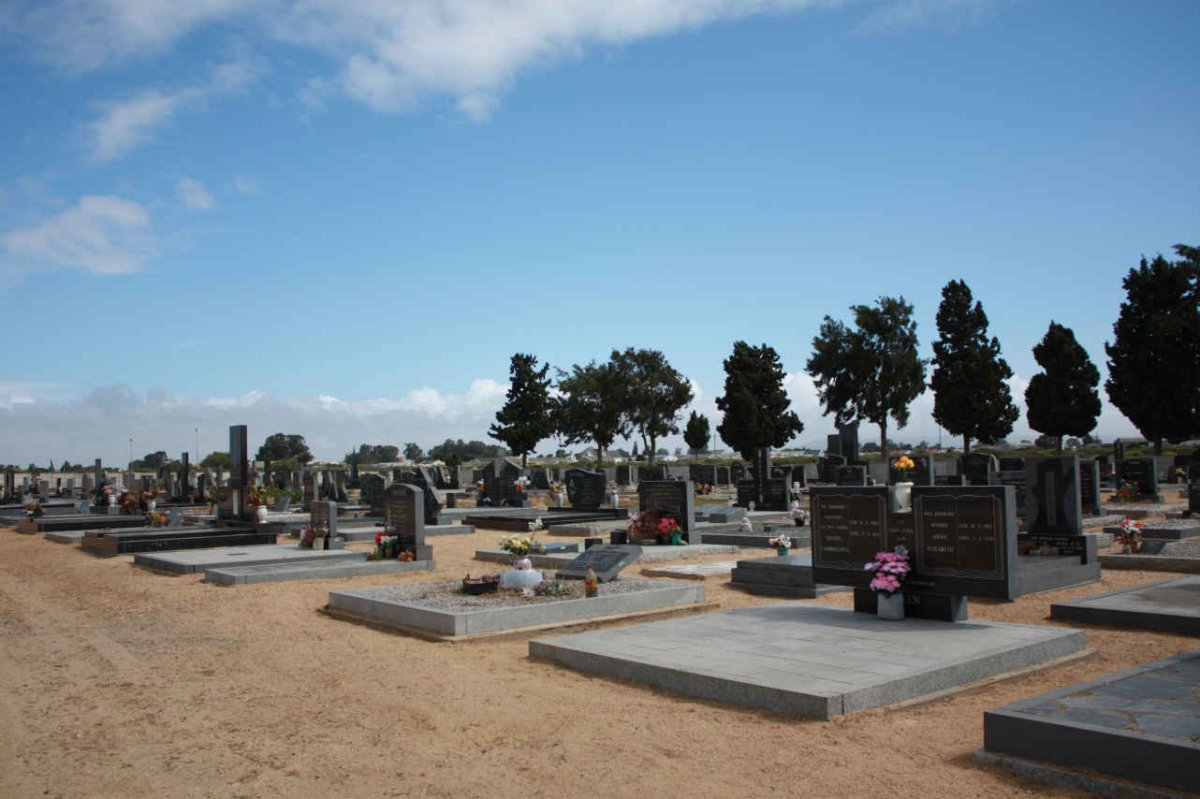 5. Overview / Oorsig