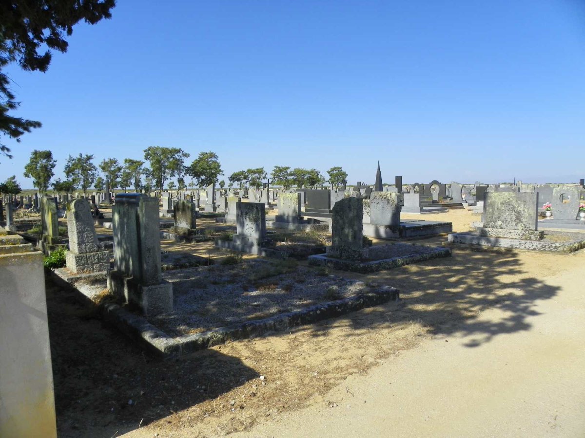 4. Overview / Oorsig