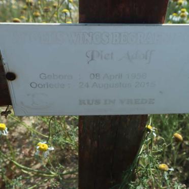 ADOLF Piet 1956-2015