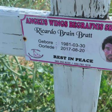 BRATT Ricardo Brain 1981-2017