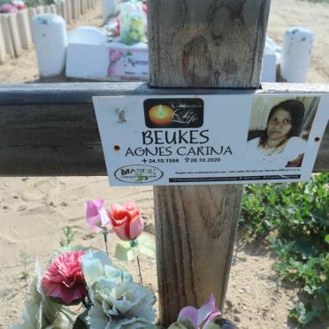 BEUKES Agnes Carina 1966-2020