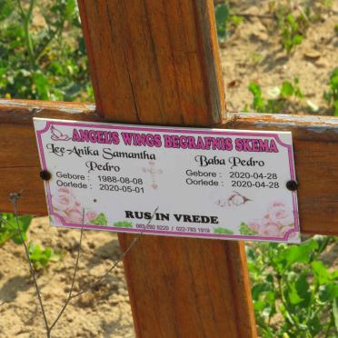 PEDRO Lee Anika Samantha 1988-2020 :: PEDRO 2020-2020