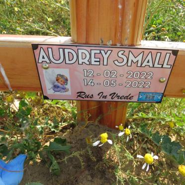 SMALL Audrey 2022-2022