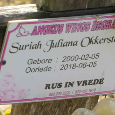 OKKERSTEIN Suriah Juliana 2000-2018