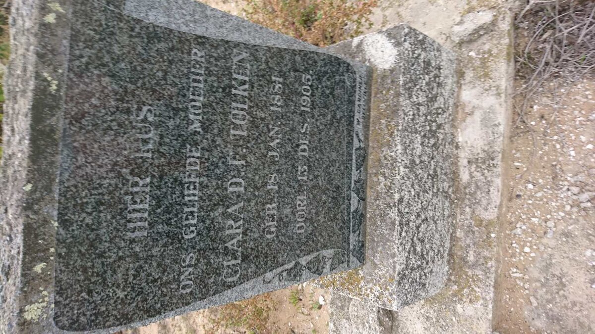 TOLKEN Clara D.F. 1881-1905