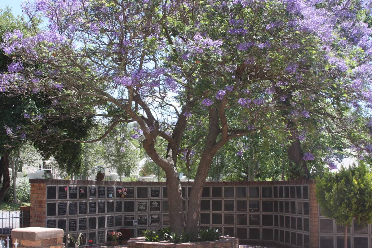 WALL OF REMEMBRANCE # 1