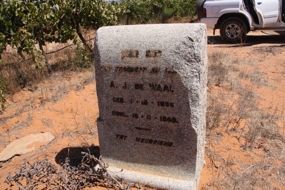 WAAL A.J., de 1886-1949