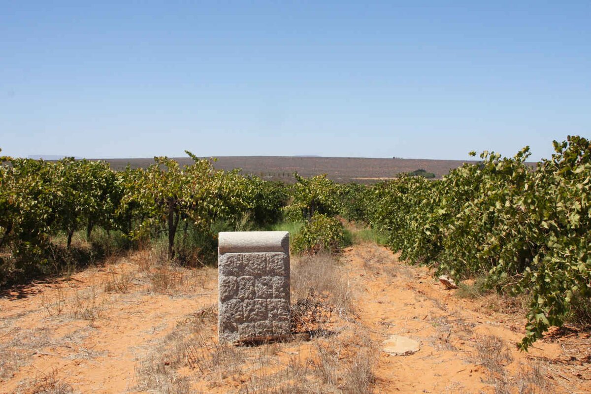 1. Oorsig / Overview