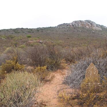 ? Unmarked grave with Tombstone