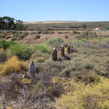 1. Oorsig oor grafte