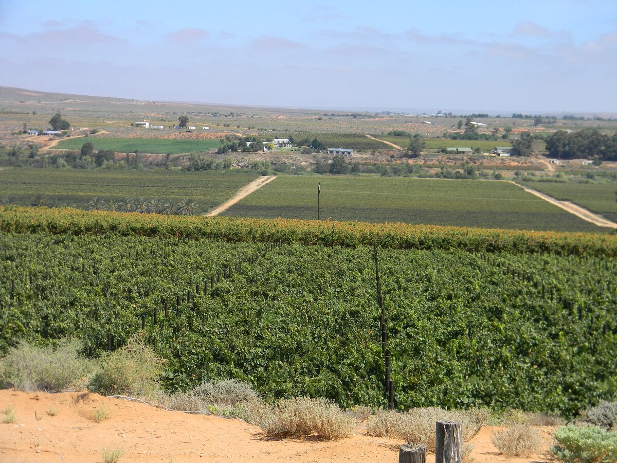 2. Overview from inside the cemetery