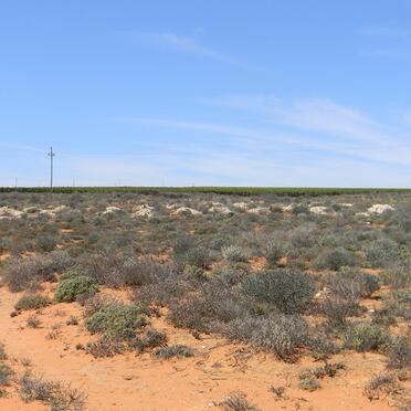 2. Overview on unmarked graves outside the cemetery fence