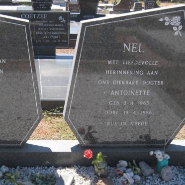 COETZEE :: NEL :: VAN DER MERWE