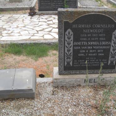 NEL Hermias Cornelius Niewoudt 1873-1942 &amp; Janetta Sophia Louisa VAN DER WESTHUIZEN 1877-1964