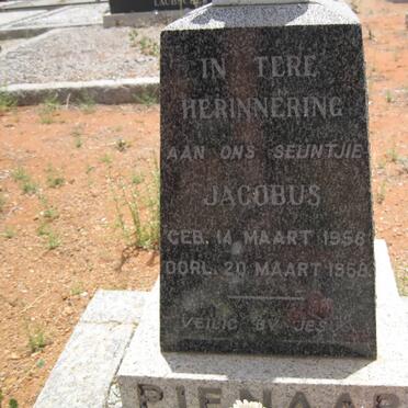 PIENAAR Jacobus 1956-1968