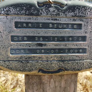 BEUKES Arrie 1972-2009