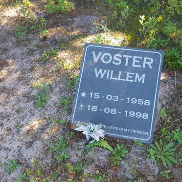 VOSTER Willem 1958-1998