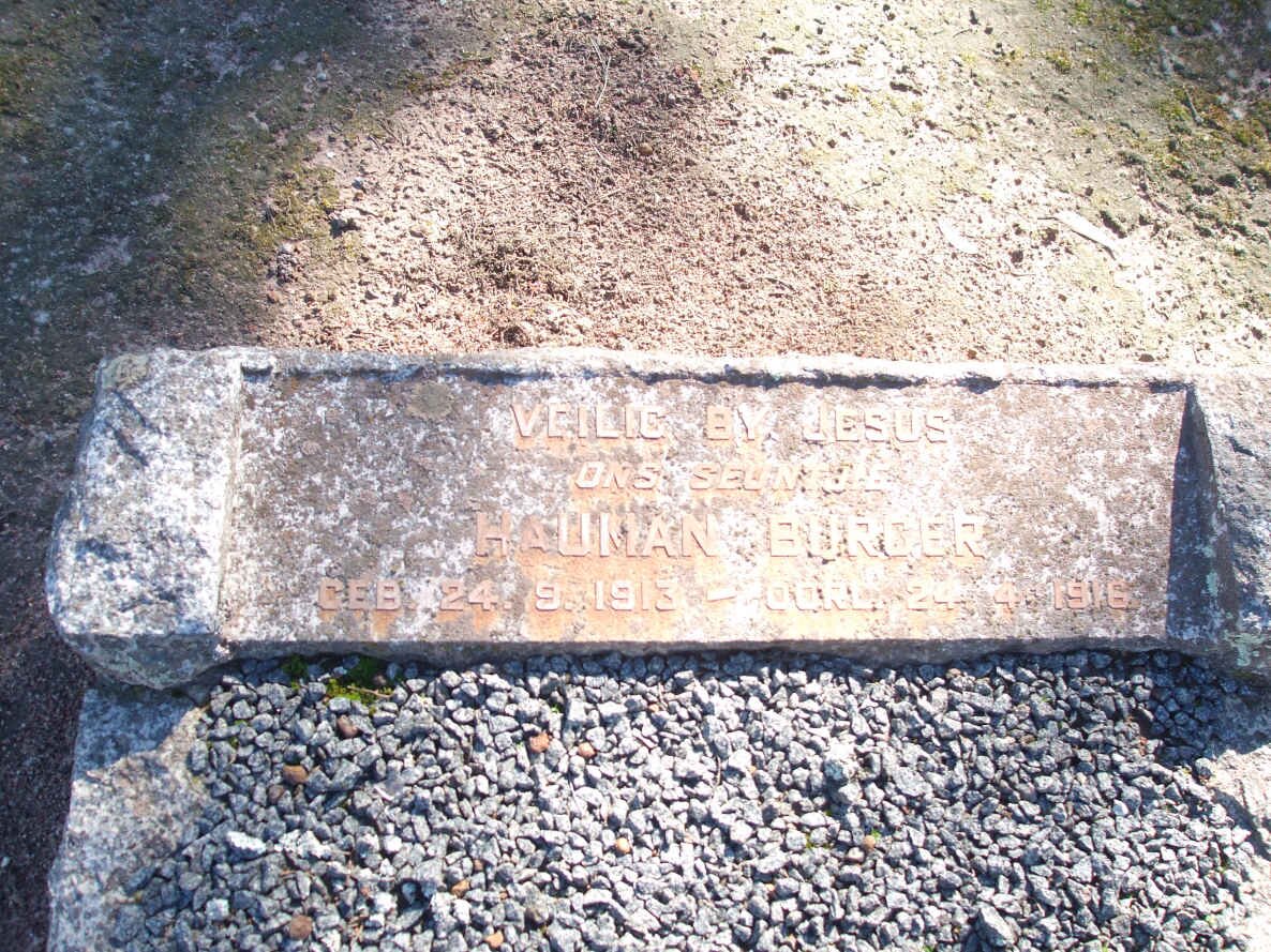 BURGER Hauman 1913-1916