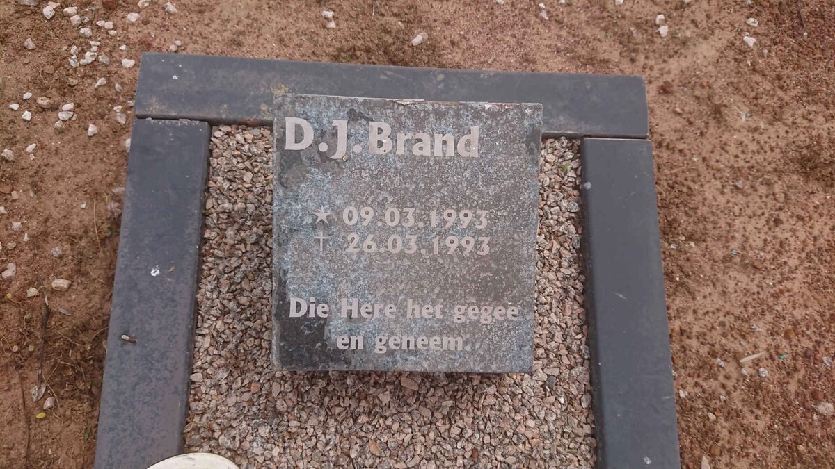 BRAND D.J. 1993-1993