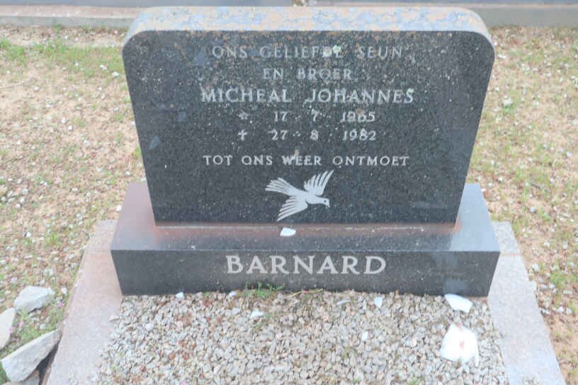 BARNARD Micheal Johannes 1965-1982