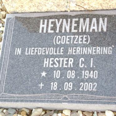 HEYNEMAN :: LOUW :: COETZEE