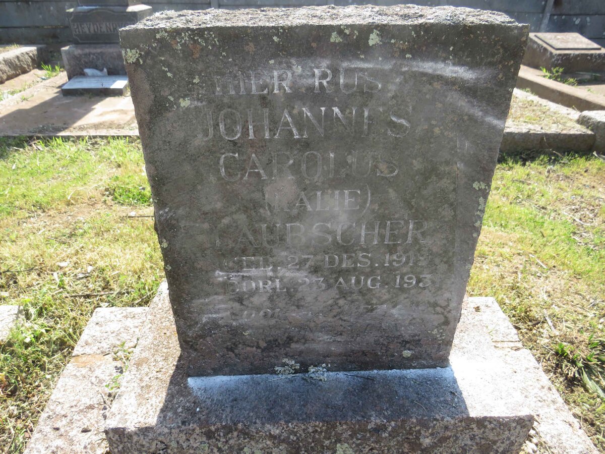 LAUBSCHER Johannes Carolus 1919-1931